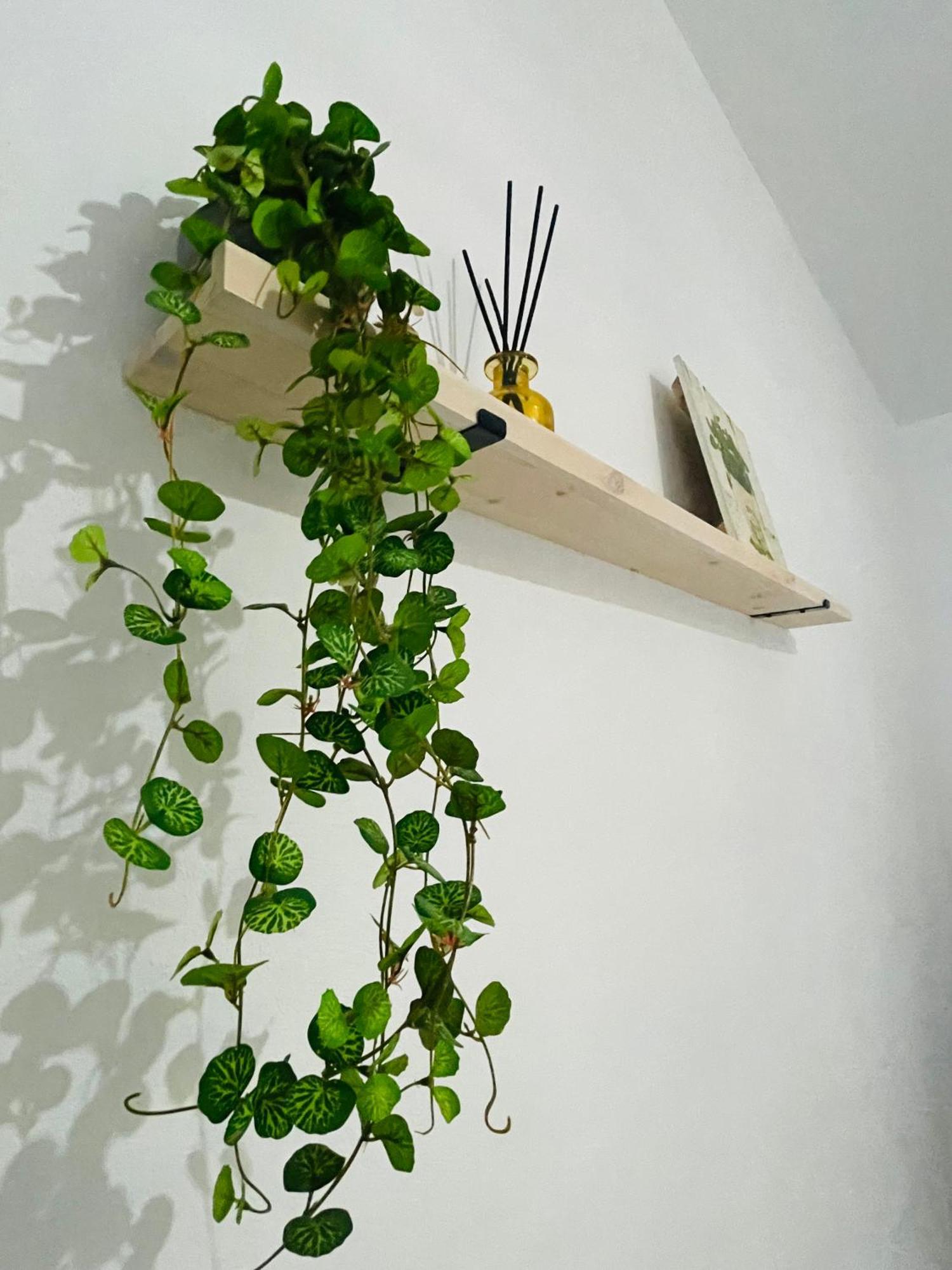 Casa Rural Berta El Picazo المظهر الخارجي الصورة