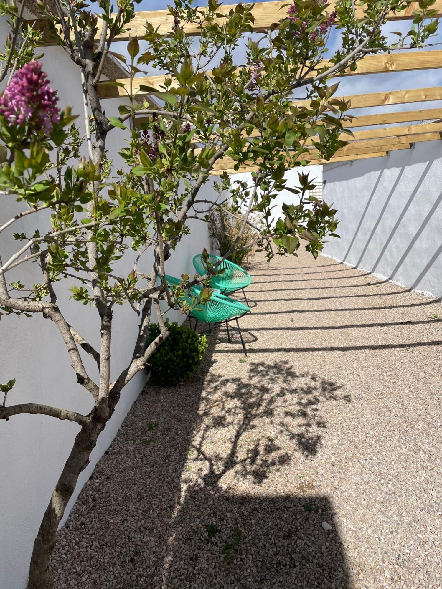Casa Rural Berta El Picazo المظهر الخارجي الصورة